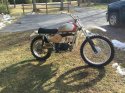 75 husky 009.JPG