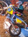 250769_227_cover-morales-250-wr-94-mc.jpg