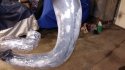 20160216_181637.jpg