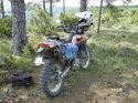 SANY5208.JPG