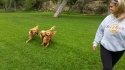 20160414_131444.jpg