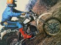 250769_2800_larry-roseler-390-wr-78-mv.jpg