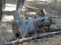 steam donkey.jpg