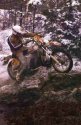 HISM-84-svenerik.jpg