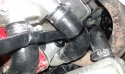 20170604_160759.jpg