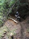 IMG_0817.JPG IMG_0817.JPG