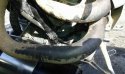 20170624_090626.jpg