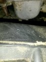 20171015_184531_resized.jpg