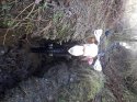 20180110_140950.jpg