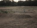 brucie on the track 006.JPG