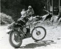 Husky053.jpg