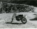 Husky054.jpg