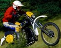 Nouvelle image (101)_1558.jpg