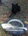 melted side panel on wheel.b.jpg