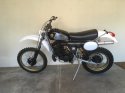 wr3902.JPG
