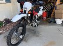 Husky 1.jpg