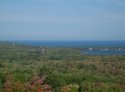 IMG_1750.JPG