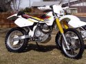 DR350 2-06.jpg