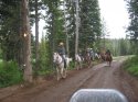IMG_2408.jpg