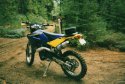 Husky029.jpg