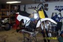 Husky 017.jpg