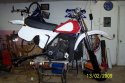 Husky 020.jpg