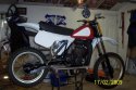 Husky 030.jpg