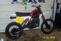 Husky 052.jpg