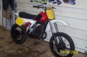 Husky 050.jpg