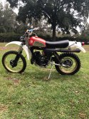 IMG_5817.jpeg