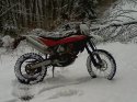 Husky in snow.jpg