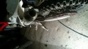 20120310_011.jpg