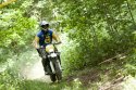husky gathering-0051.jpg