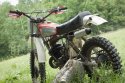 husky gathering-9862.jpg