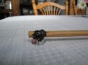 DSC00438.jpg