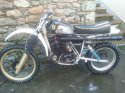 husky390.jpg