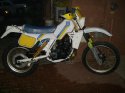 bmore husky ressurection 002.jpg