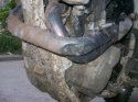 100_0525.jpg
