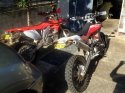 stolen-husky.jpg