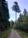 IMG_20140507_115817.jpg