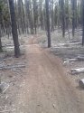 Three Trail 3.JPG