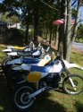 husky_herd_2010_6.jpg