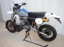 finished husky 003.jpg