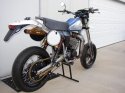 finished husky 016.jpg