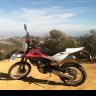 SDHUSKY310