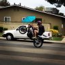 JaketheSnake