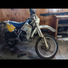 Ryan529