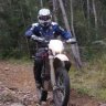 Huskylad