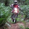 motomambo