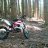 scratch250